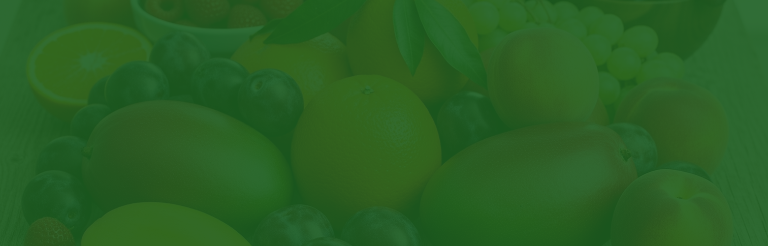 Banner 2