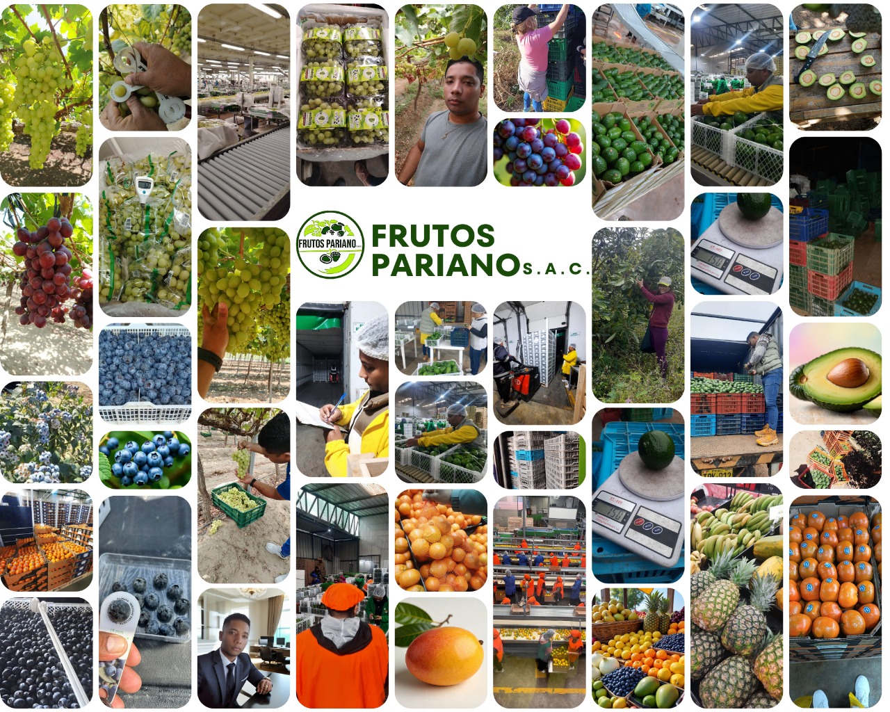 Nuestro Empresa