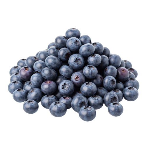 ARANDANO