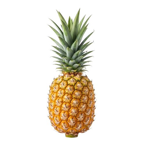 PIÑA